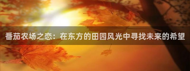 天辰娱乐酒店