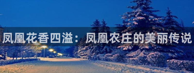 天辰娱乐在线