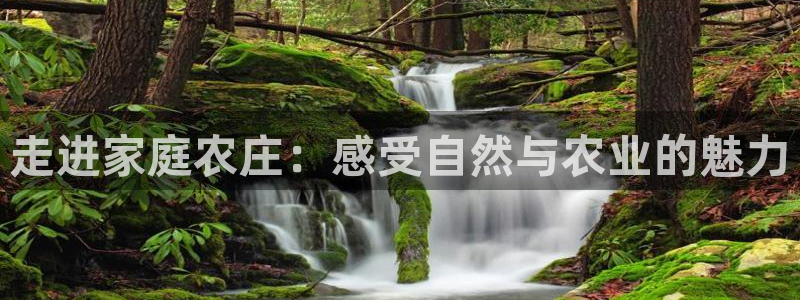天辰娱乐酒店