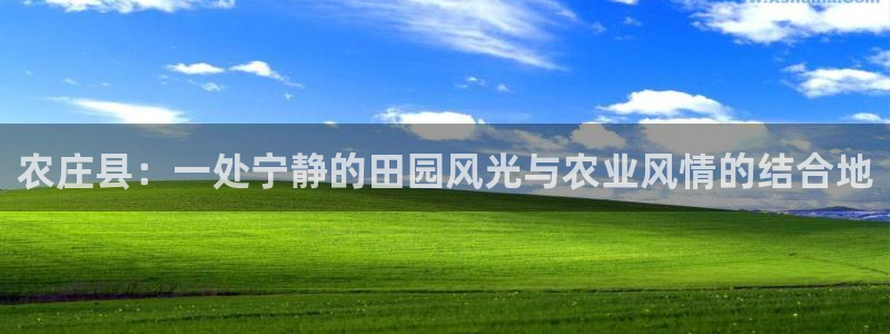 天辰娱乐游客