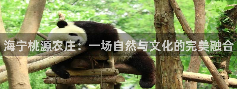 天富娱乐与天辰娱乐
