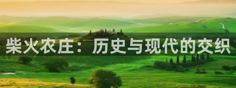 天辰娱乐1956
