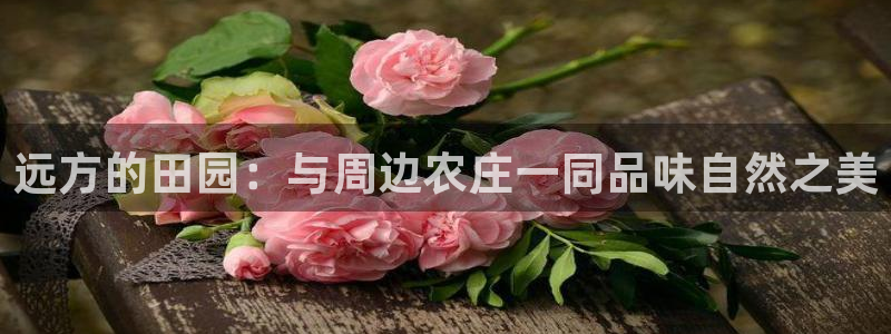 天辰娱乐娱乐