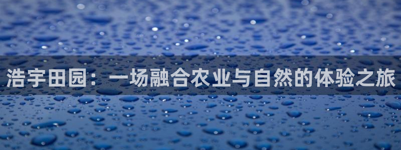 天辰娱乐下载地址