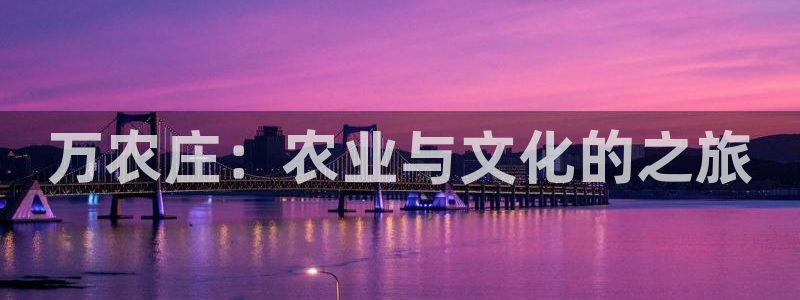 天辰娱乐简介