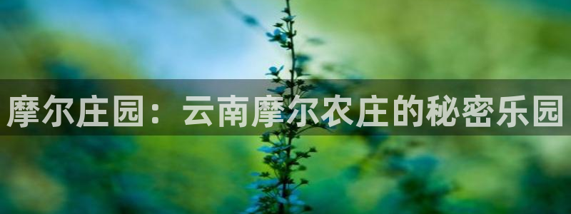 天辰娱乐新