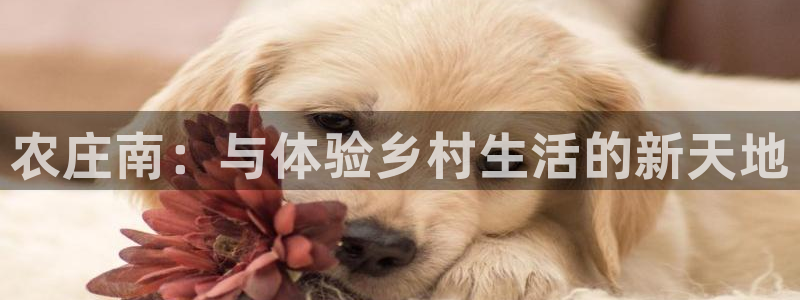 天辰娱乐官方登录入口