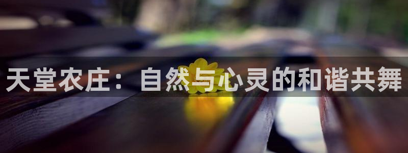 天辰娱乐文案