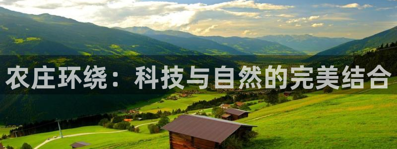 天辰娱乐待遇