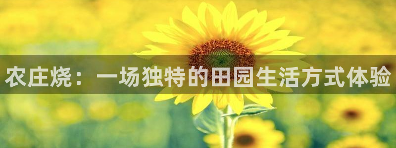 天辰娱乐10086