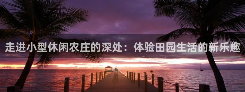 天辰娱乐小姐