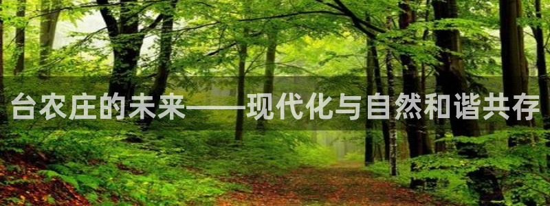 南京天辰娱乐