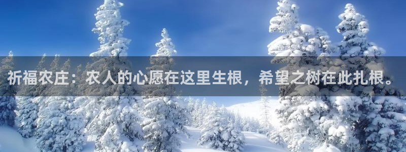 天辰娱乐黑人