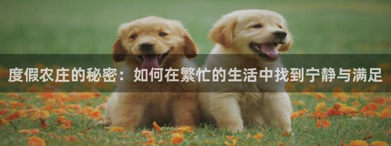 辰天娱乐