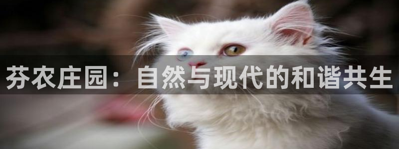 天辰娱乐平台靠谱么