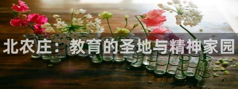 天辰娱乐会所
