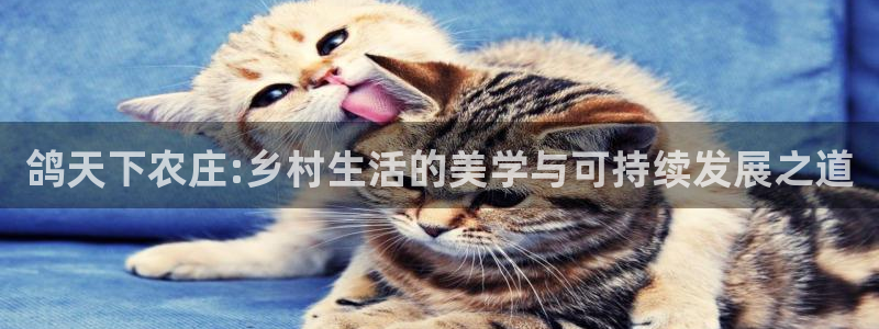 天辰娱乐所