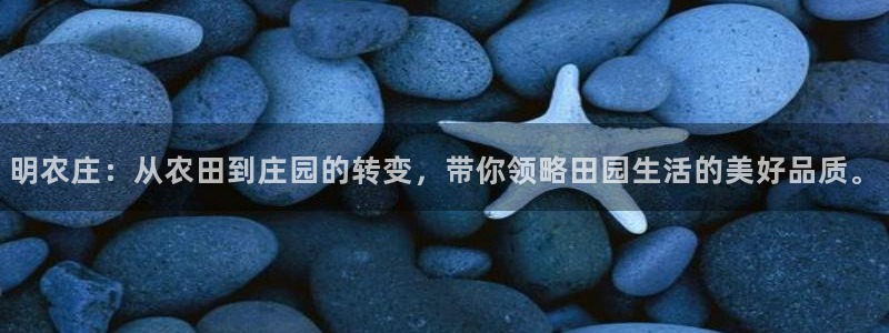 天辰娱乐官网平台入口