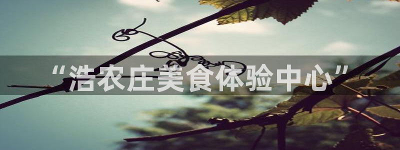 天辰娱乐招商