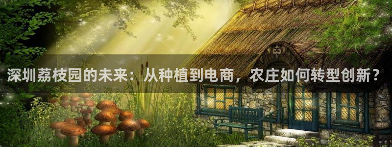 天辰娱乐游客