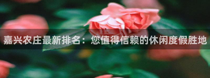 天辰娱乐总管年薪