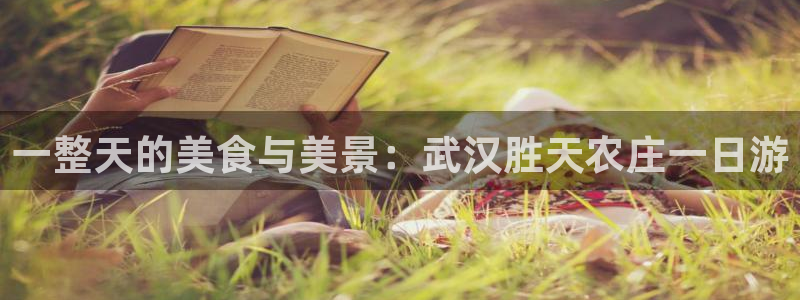 天辰娱乐内部