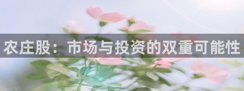天辰娱乐总管
