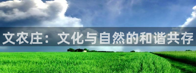 天辰娱乐网址娱乐游戏