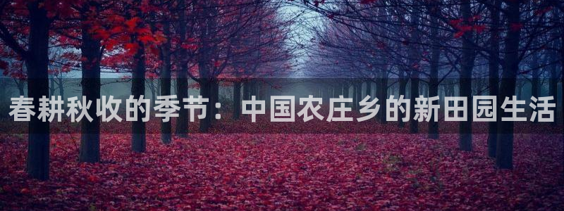 天辰娱乐平台入口