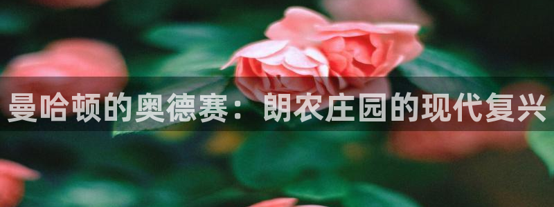 天辰娱乐84566