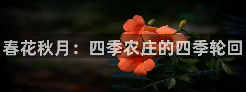 天辰天辰娱乐