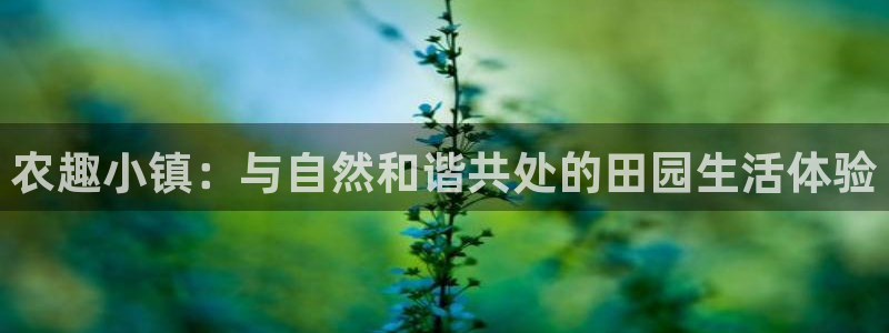 天辰娱乐直属