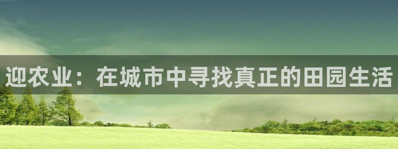 天辰宝宝娱乐