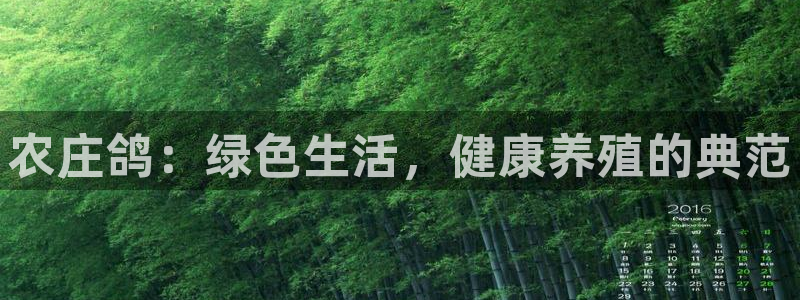 天辰娱乐appxi