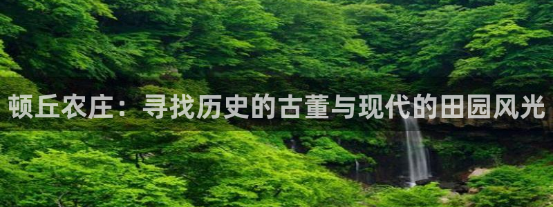 天辰娱乐游客