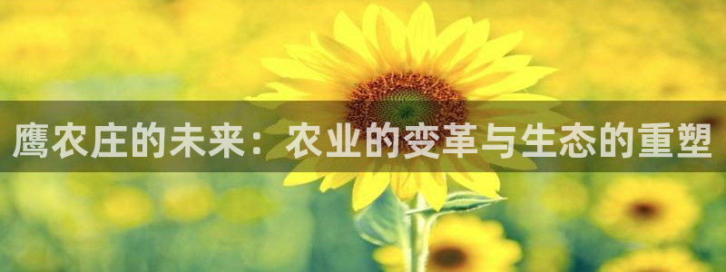 天辰天富娱乐登录