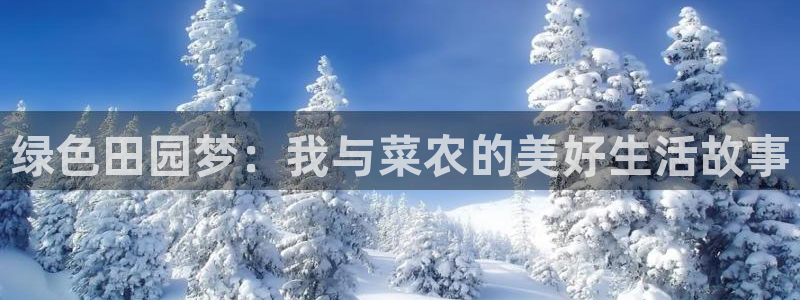 天辰娱乐首选