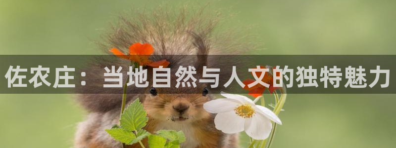 天辰娱乐平台登录账号