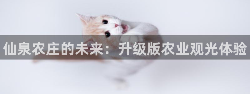 天辰娱乐所