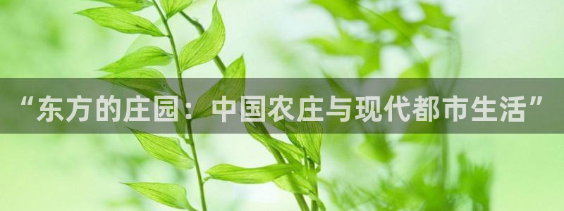 天辰娱乐咋样