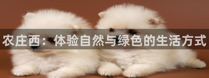 天辰娱乐新
