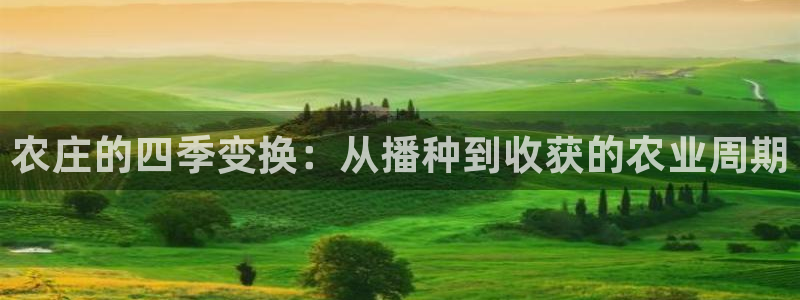 天辰娱乐老板