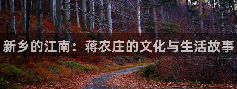 天辰娱乐注册登录