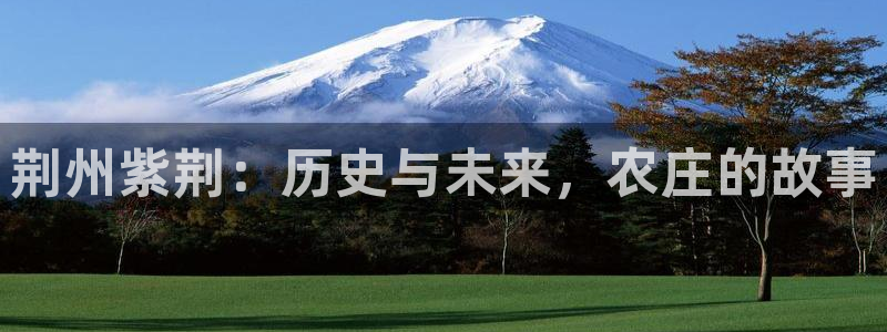 天辰娱乐平台地址在哪里