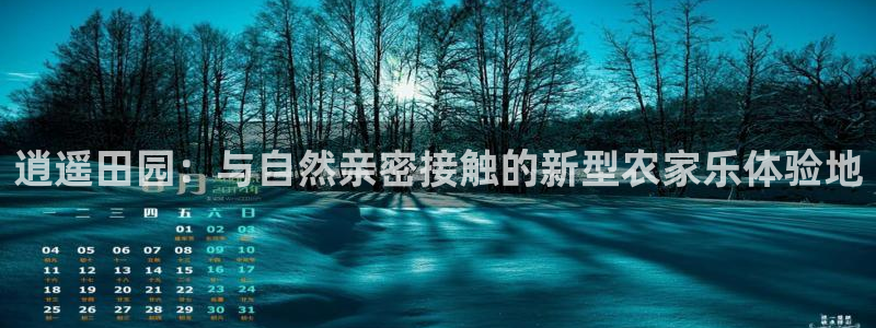 天辰娱乐简介