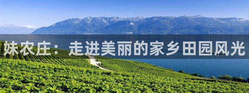 天辰娱乐彩票