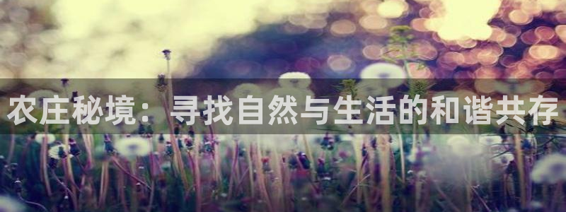 天辰娱乐娱乐平台