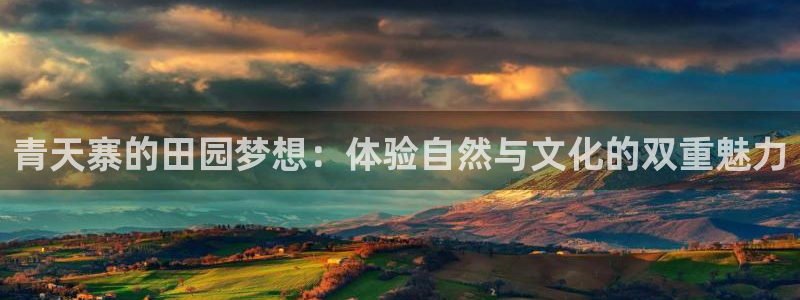 天辰娱乐待遇