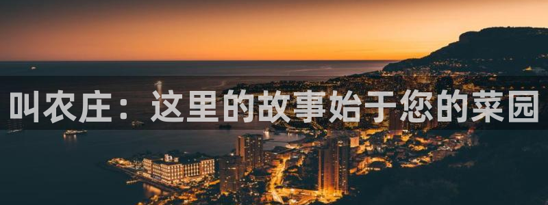 天辰娱乐卡