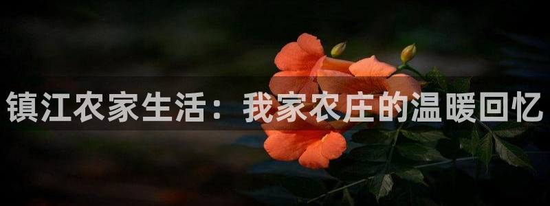 天辰娱乐平台注册